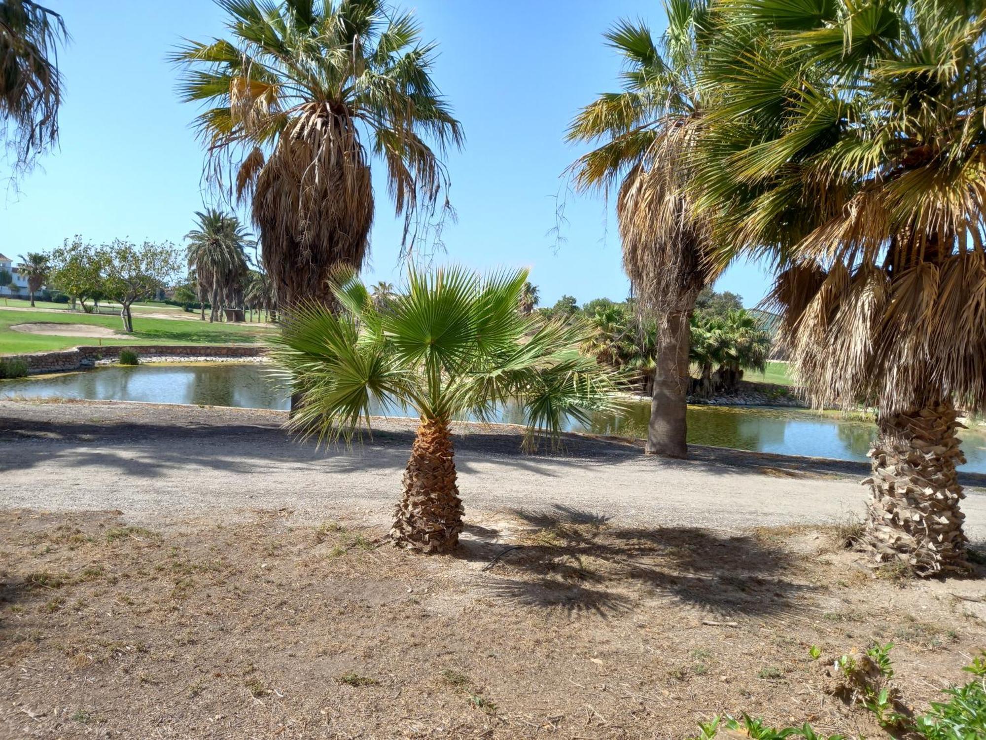 Apartamento Golf Roquetas de Mar Extérieur photo